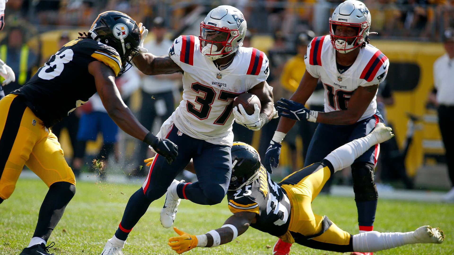 能够使观看 能够使观看